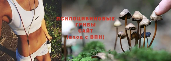 Альфа ПВП Алзамай