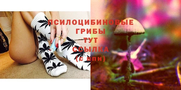 стафф Сатка